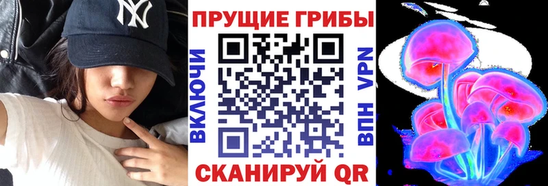 Галлюциногенные грибы ЛСД  Александровск-Сахалинский 